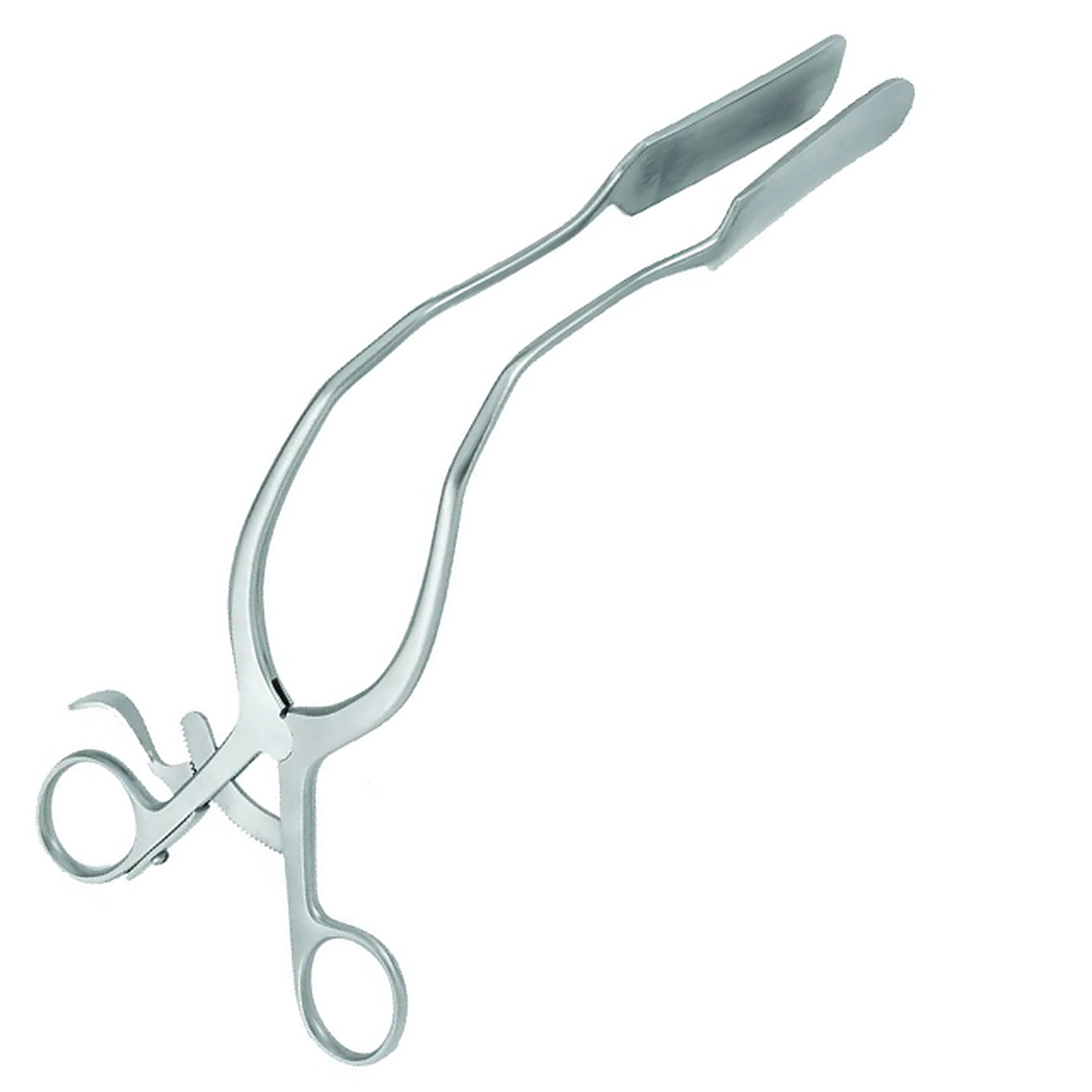 Lateral Ebonized Vaginal Retractor Laterales ebonisiertes Vaginal-Spekulum von Retractor Maker